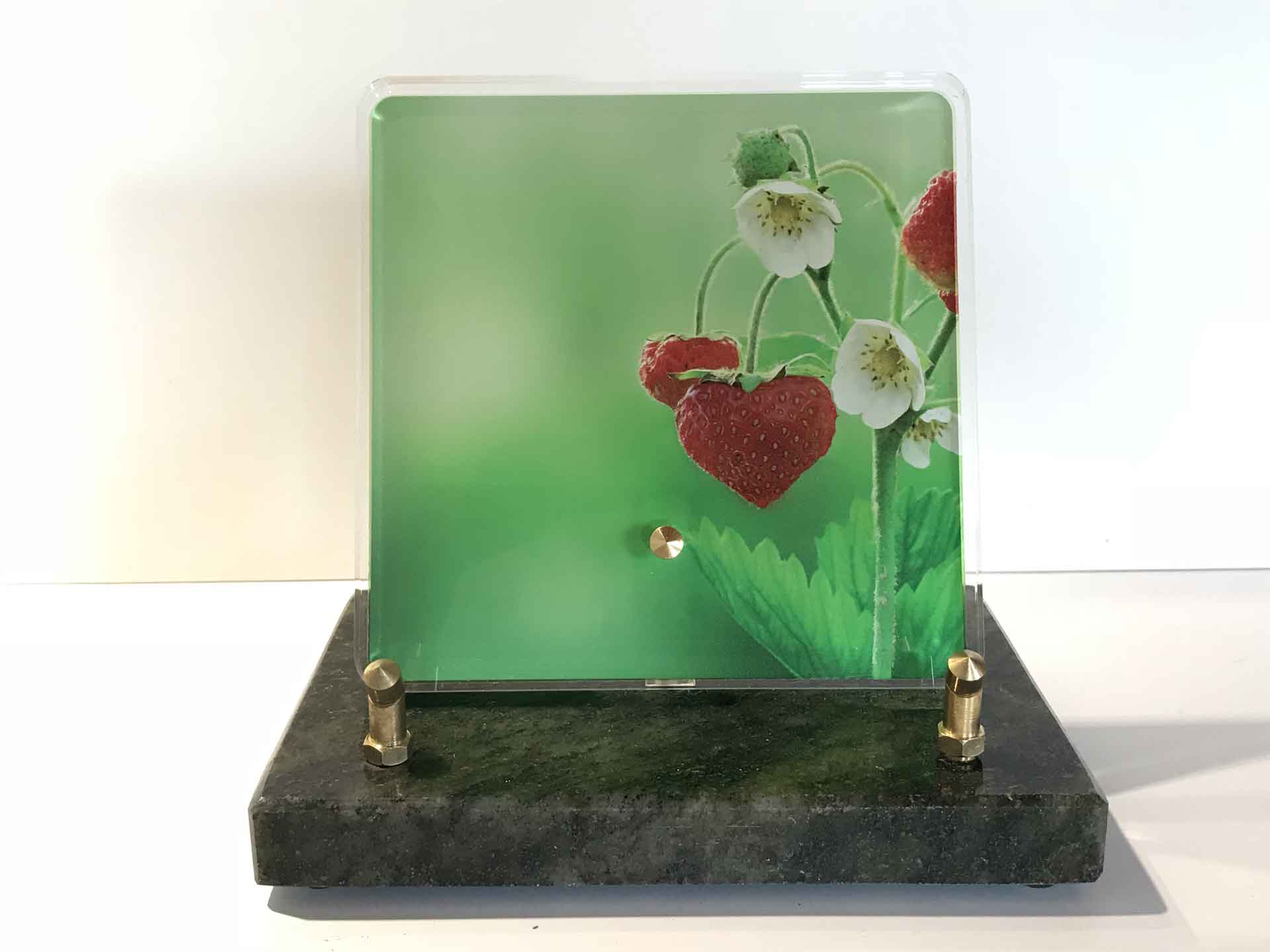 Plaque Altuglas - Modèle n°1 - Décor avec un plant de fraises comportant des fruits en forme de cœur et des fleurs naissantes.