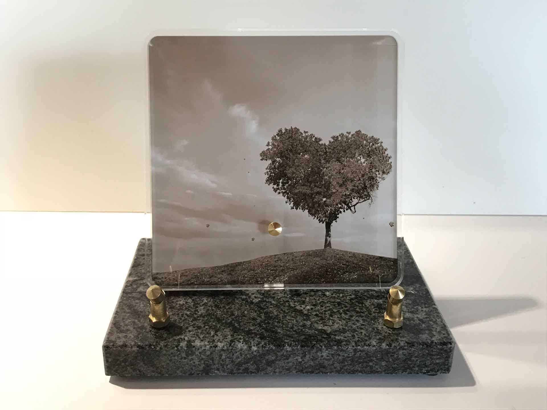 Plaque Altuglas - Modèle n°3 - Paysage avec arbre en forme de coeur.